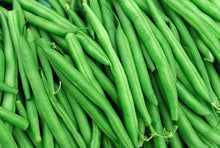 Load image into Gallery viewer, Blue lake bush Bean Seeds 1/2 lb.