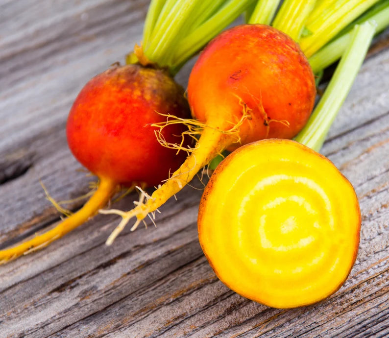 Beets Burpee Golden Seeds