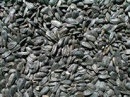 Black Oil Sunflower Seeds 1/2 lb.
