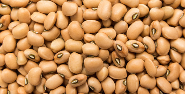 Brown Crowder Pea Seeds 1/2 lb.