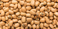 Brown Crowder Pea Seeds 1/2 lb.
