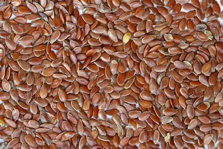 Generic Brown Flax Seeds- 1/2 lb.