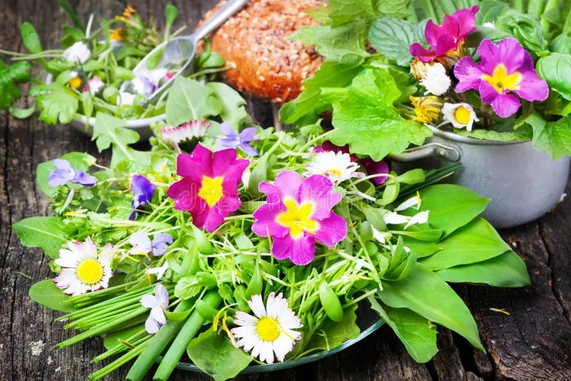 200 Edible Wildflower & Herb Seeds