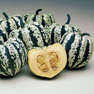 18 Heart of Gold Squash Seeds