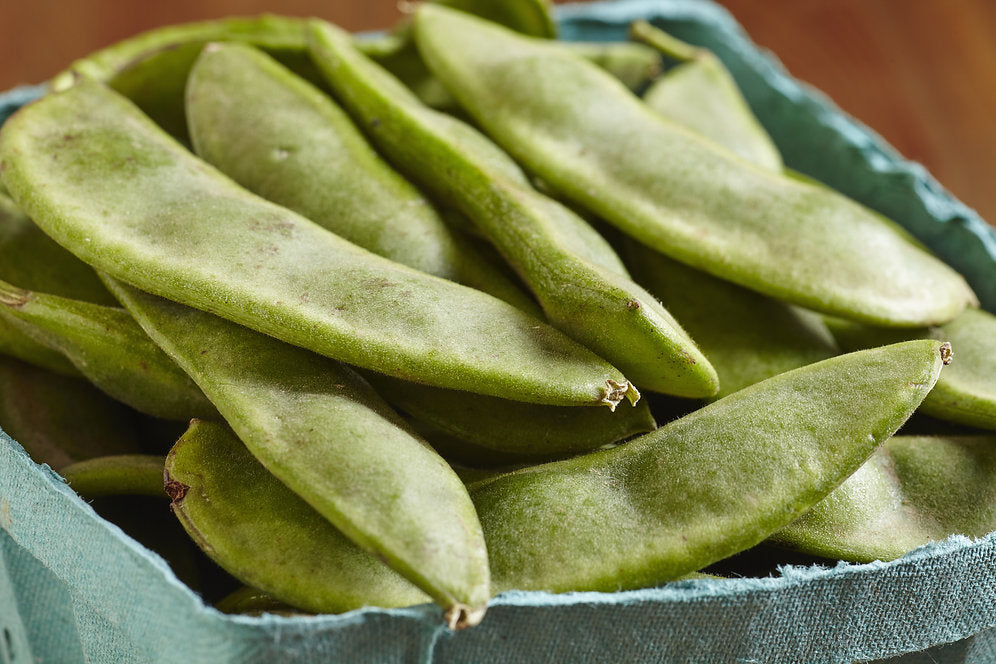 Henderson Bush Lima Bean Seeds, 1/2 Pound