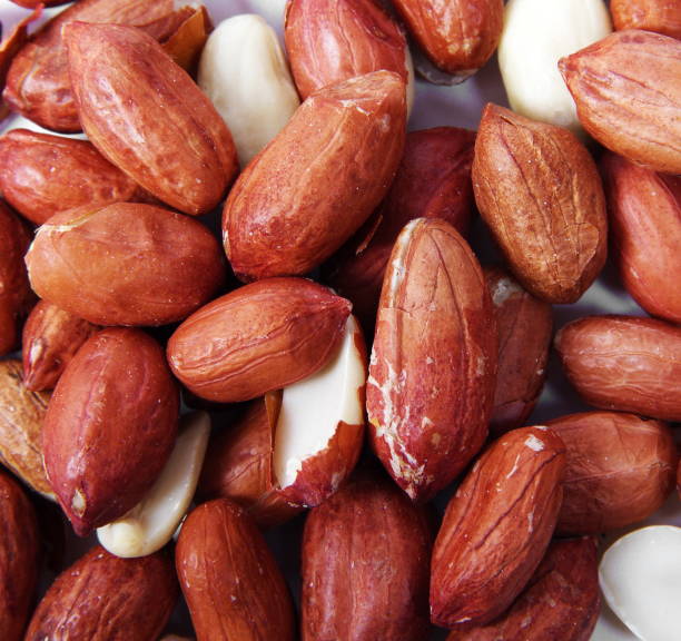 Generic Red Georgia Peanut Seeds- 1/2 lb.