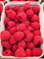 10 Red Raspberry Tree Seeds