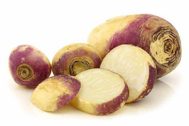 Generic Rutabaga Seeds- 1/2 Pound, Purple- Wildlife food plot