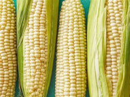 8 oz. Silver Queen Corn Seeds