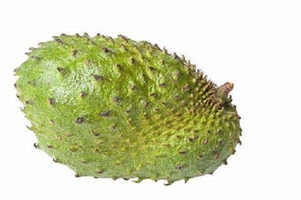 Soursop Seeds, Annona Muricata, Giant Size, Pack of 5