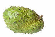 Soursop Seeds, Annona Muricata, Giant Size, Pack of 5