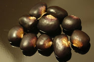 25 Succotash Bean Seeds