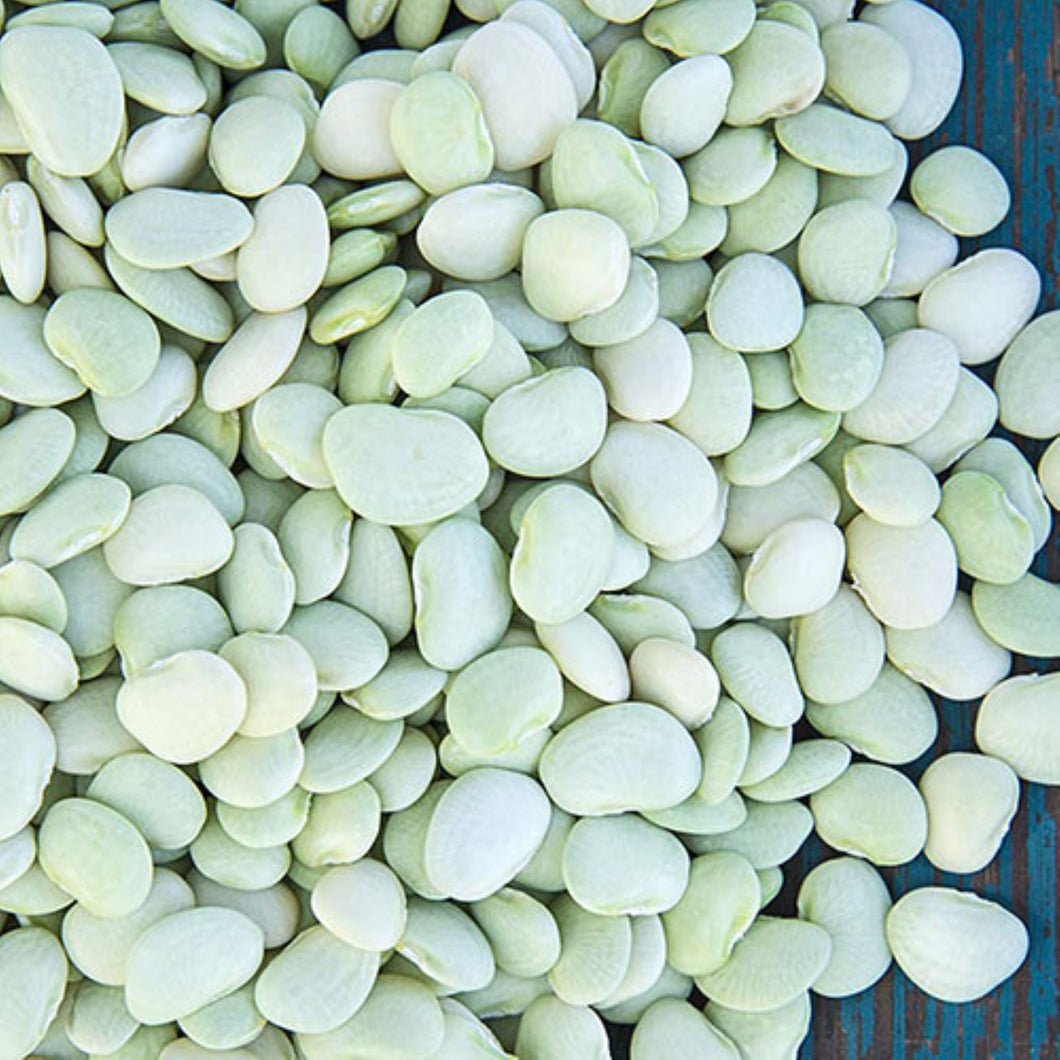 Generic Thorogreen Lima Bean Seeds- 3 lb., White
