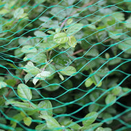 1pc Bird Netting Snow Netting For Garden Plant Green Coated Ties, Cutter Anti Bird Protection Net Mesh Protect Flowers Seedlings Plants Fruit Trees Vegetables, 13.2x40ft