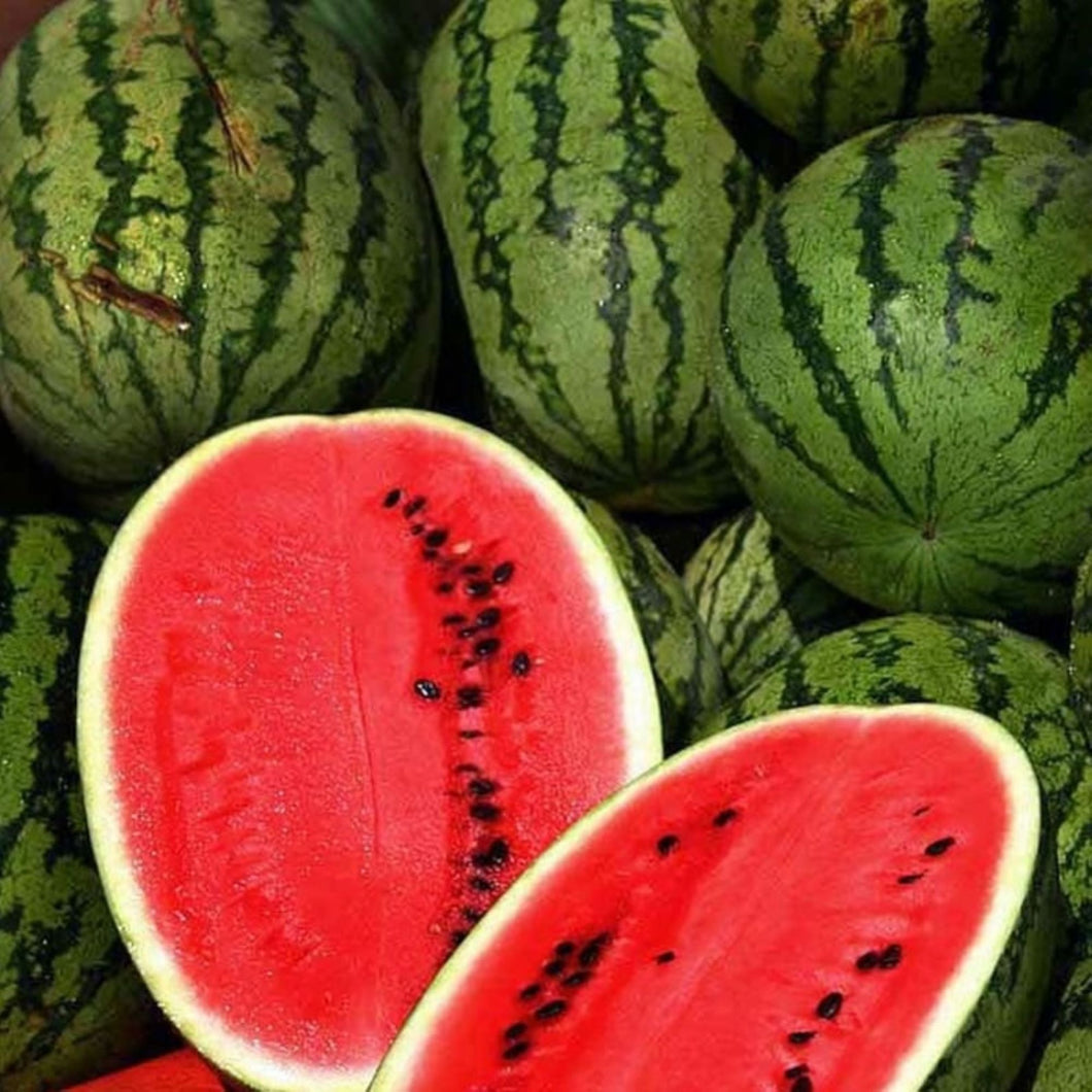 All Sweet Watermelon