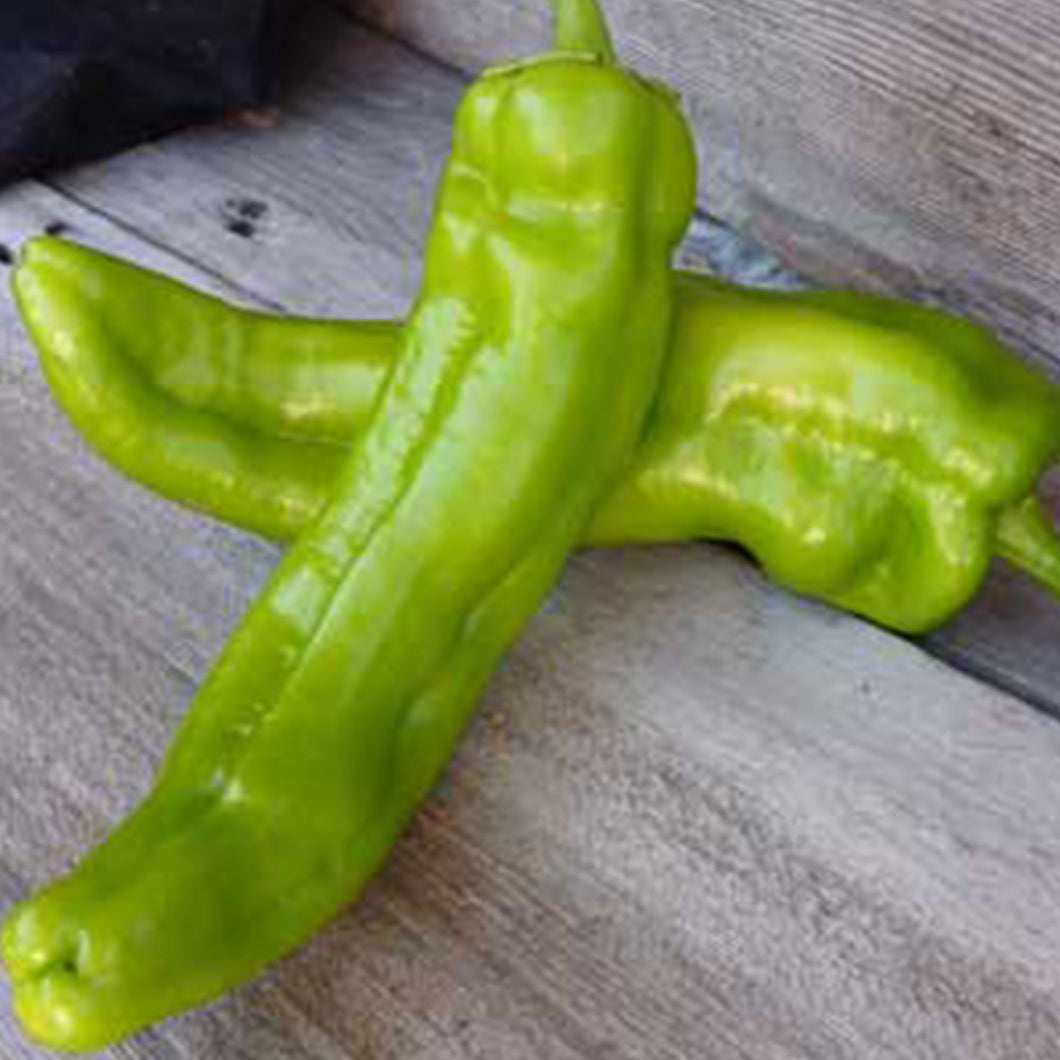 Anaheim Chili Hot Pepper Seeds