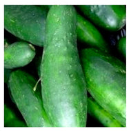 Ashley Cucumber