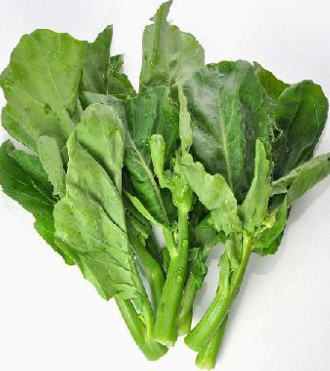 Baby Gai Lan Broccoli Seeds