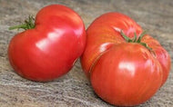Basket Vee Tomato Seeds