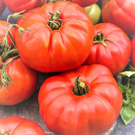 Beefsteak Tomato Seeds