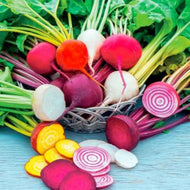 Rainbow Mix Beet Seeds