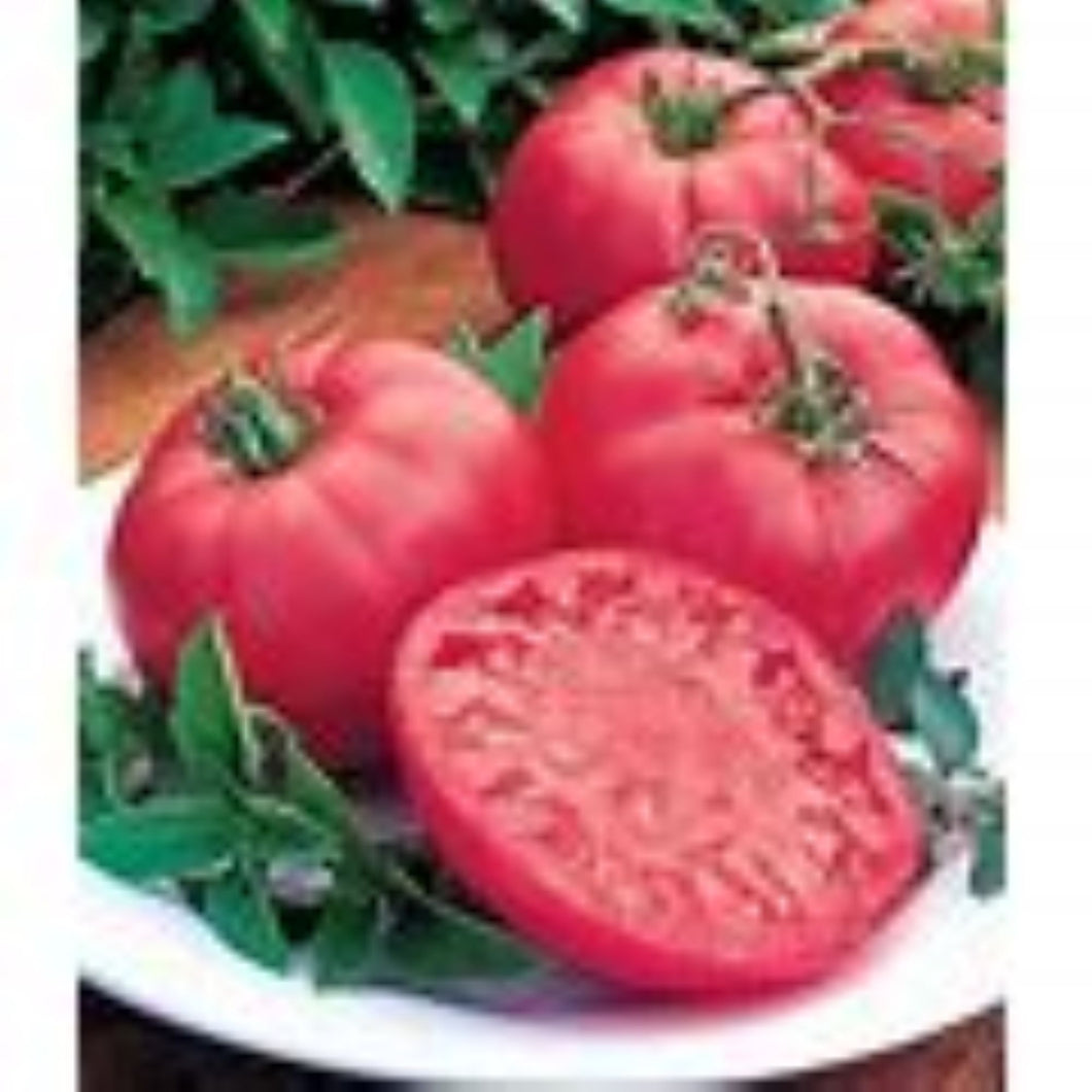 Better Boy Tomato Seeds