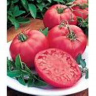 Better Boy Tomato Seeds