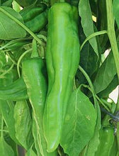 Load image into Gallery viewer, Big Jim Hot Pepper Seeds
