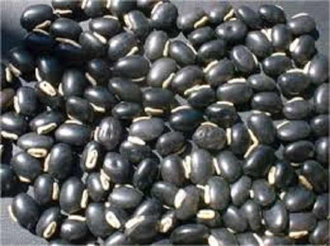 Black Mucuna Seeds