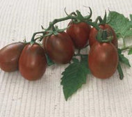 Black Plum Paste Tomato Seeds