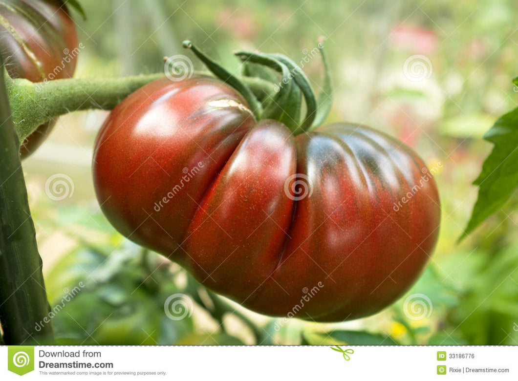 Black Russian Tomato Seeds