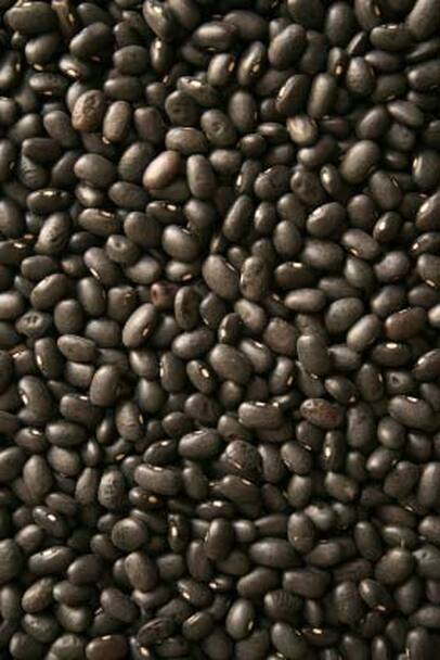 Black Turtle Bean