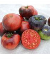 Blue Beauty Tomato Seeds