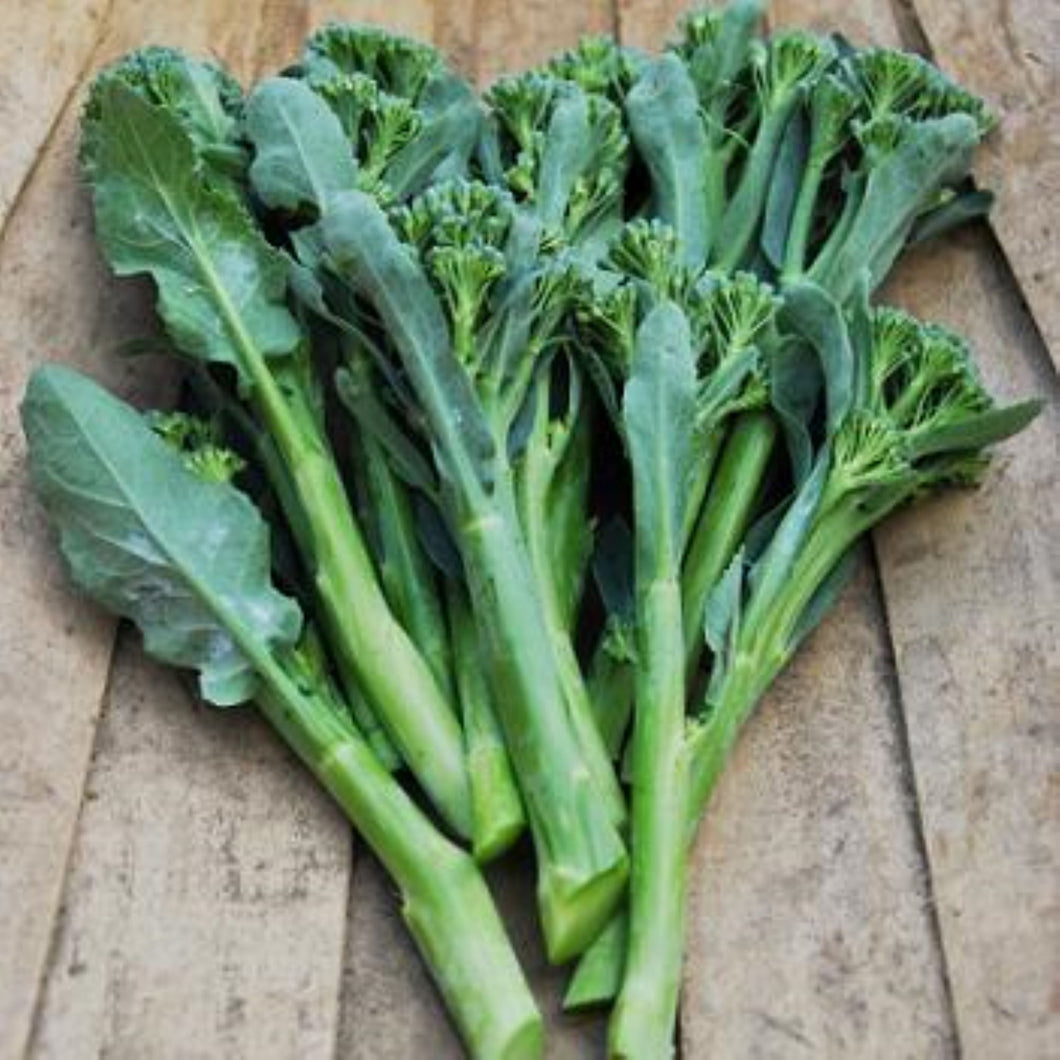 Atlantic Brokali Seeds