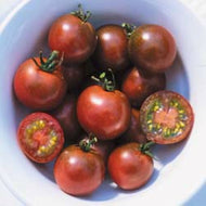 Brown Berry Tomato Seeds