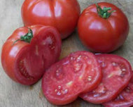 Bushels of Eight Tomato Seeds