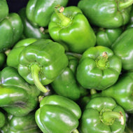 California Wonder Sweet Pepper Seeds