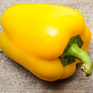 Canary Bell Yellow Sweet Pepper Seeds