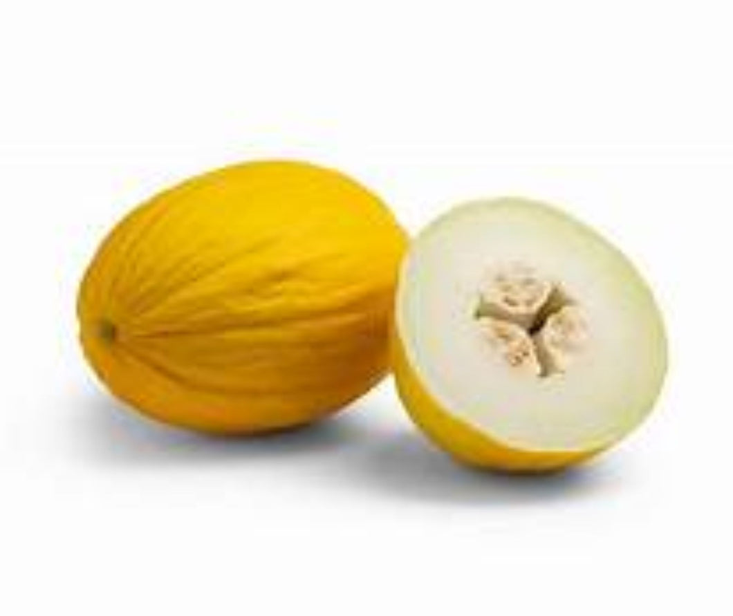Canary Yellow Melon