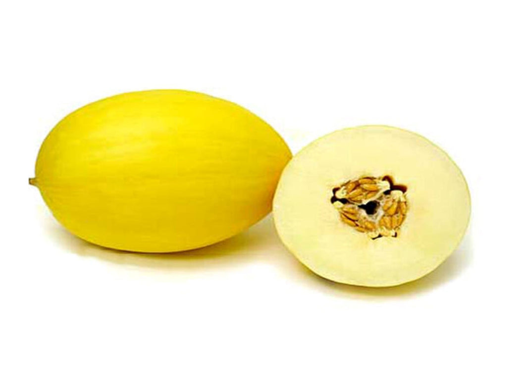 Casaba Golden Beauty Cantaloupe