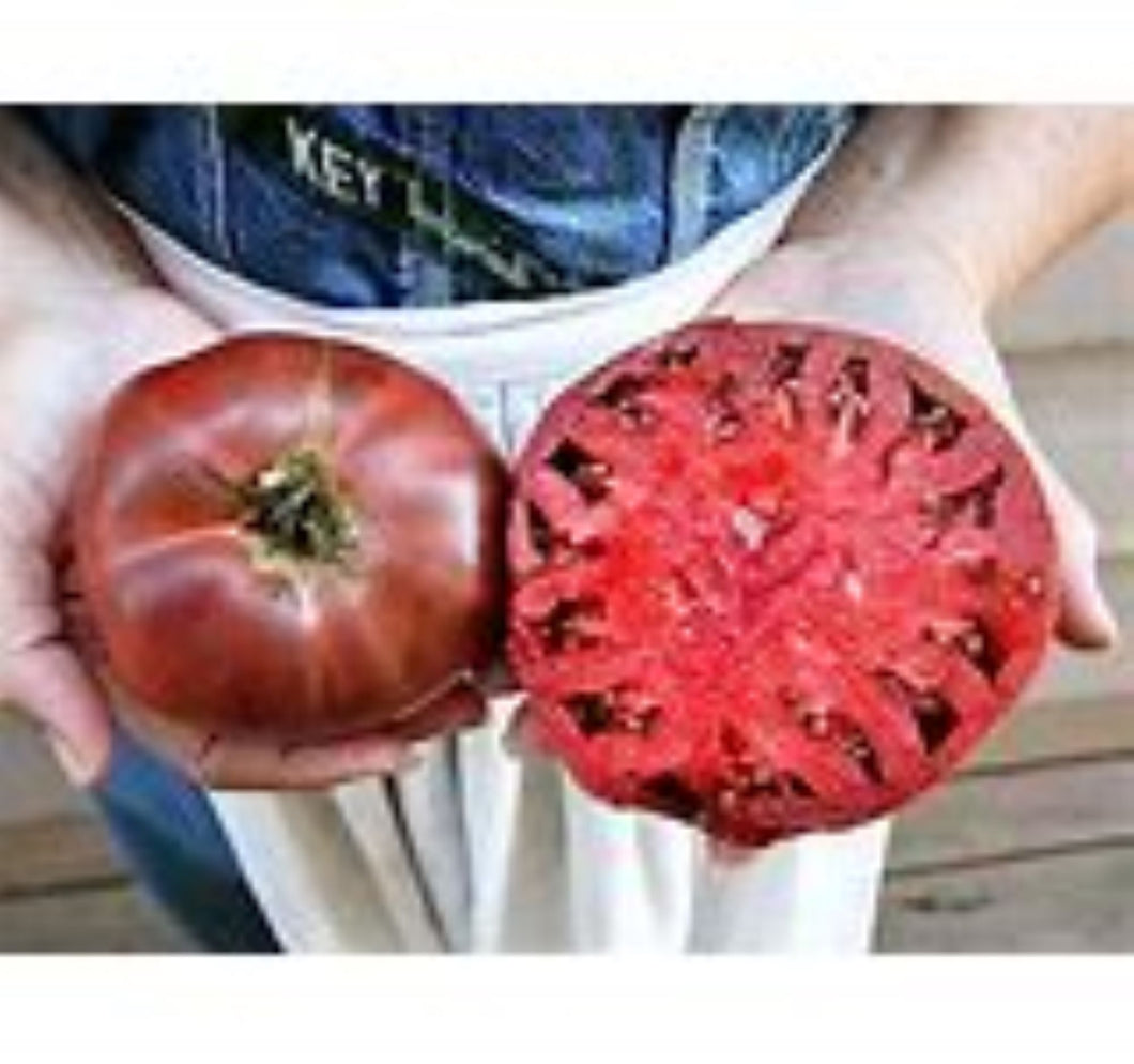 Cherokee purple Tomato Seeds