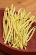 Cherokee Wax Bush Bean Seeds
