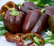 Chocolate Beauty Sweet Pepper Seeds