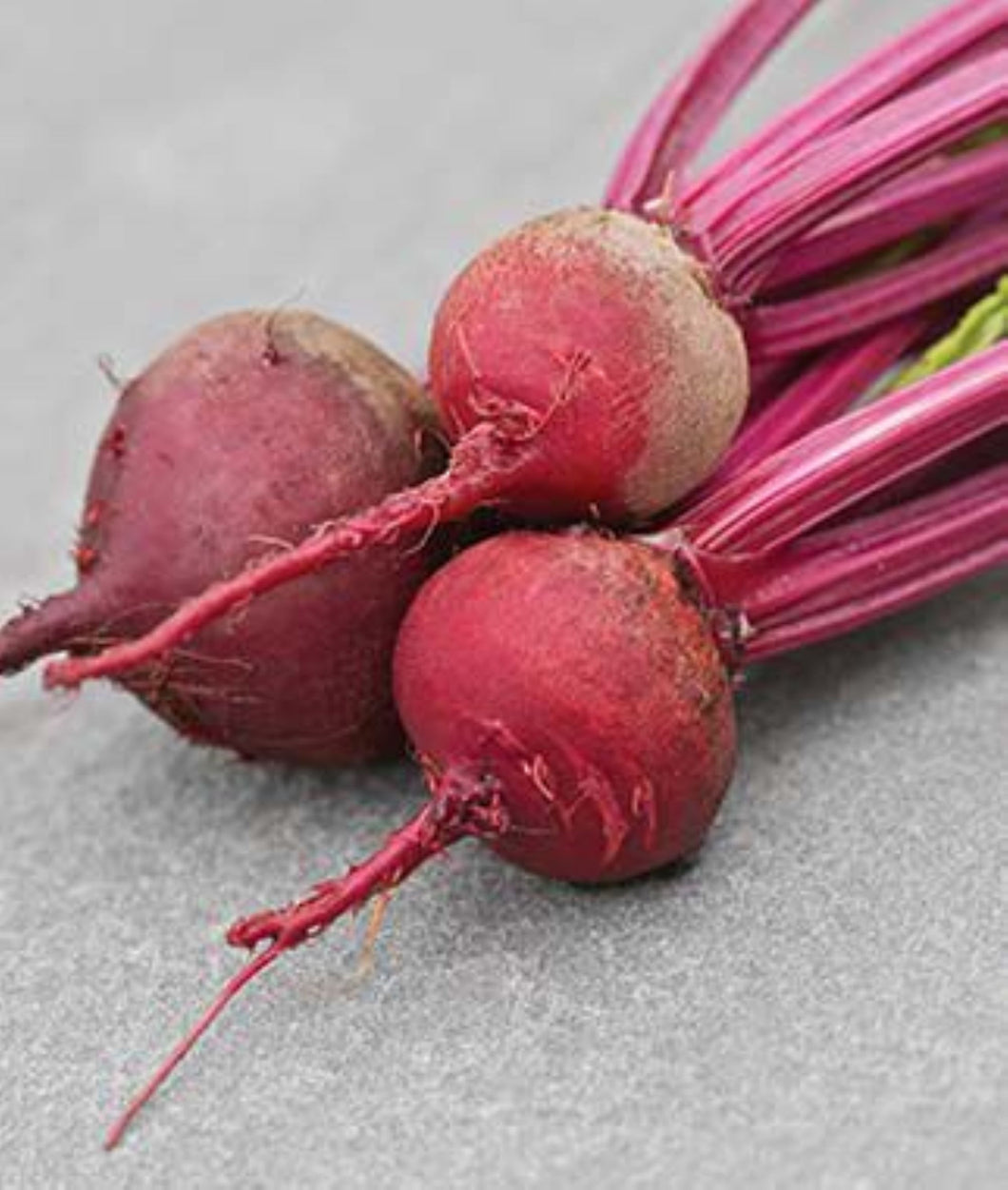 Detroit Dark Beet