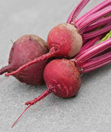 Detroit Dark Beet