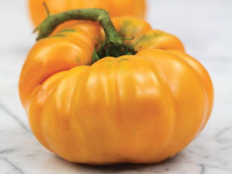 Dr. Wyches Yellow Tomato Seeds