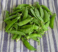 30 Dwarf Grey Sugar Pea Seeds
