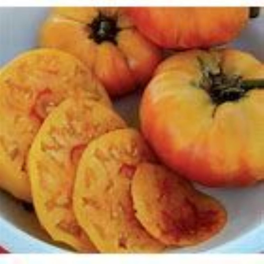 Gold Medal Tomato Seeds