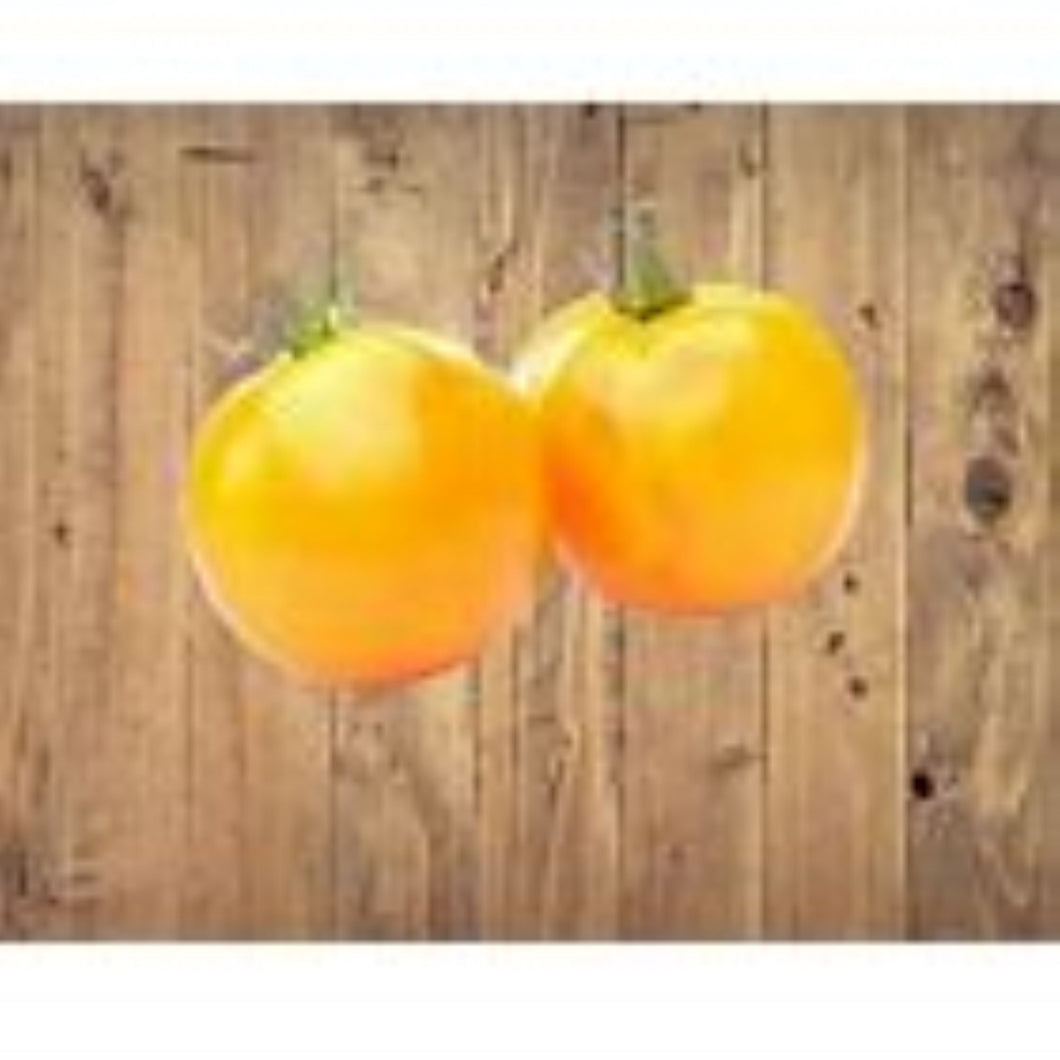 Golden Jubilee Tomato Seeds