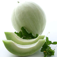 Greenflesh Honeydew